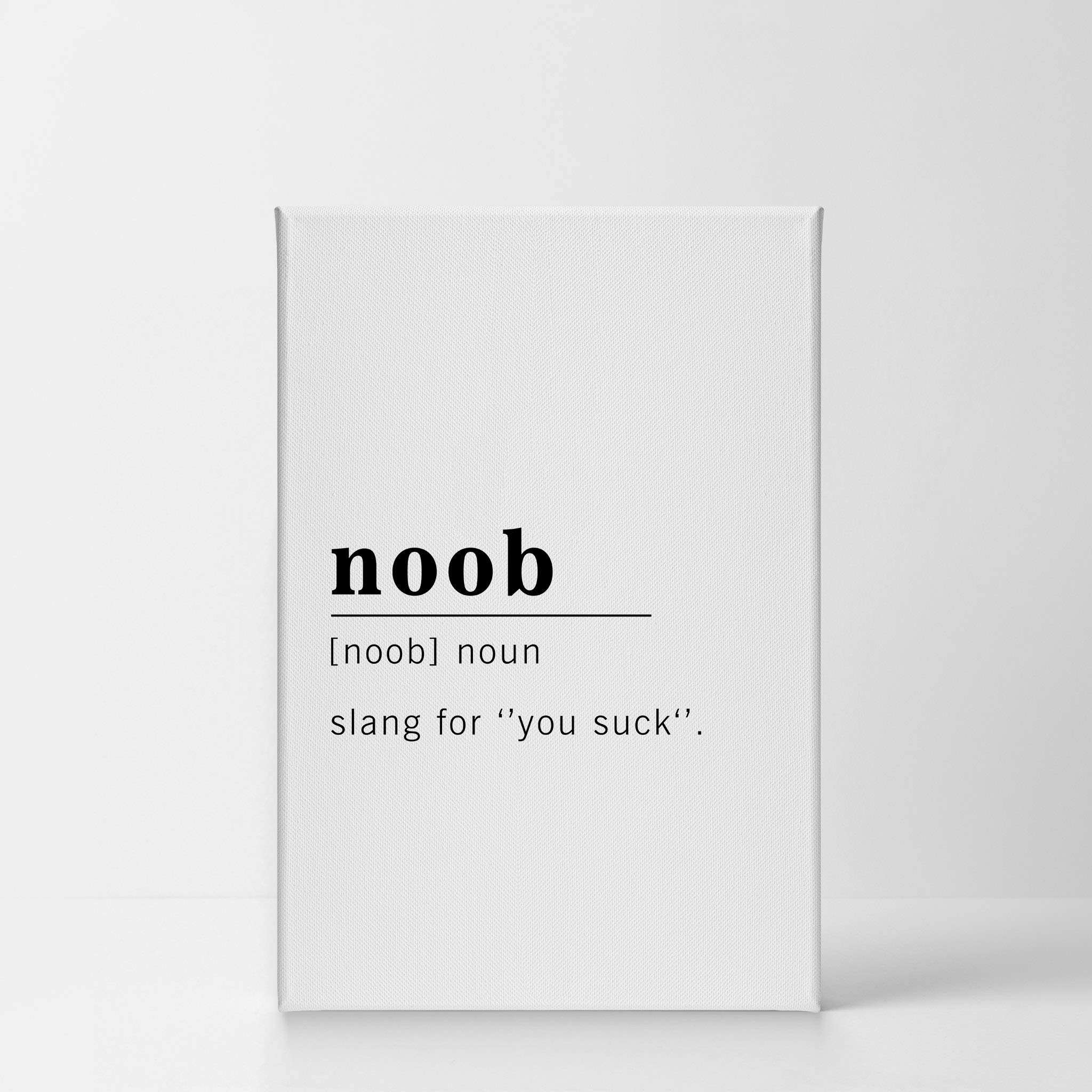 Noob Definition Canvas Print - Funny Noun Dictionary Wall Art for Office, Living Room, Bedroom & Bathroom Decor | Inspirational Quote Sign | Ready to Hang Home Decor (40x30 inches, Made in USA) - Perfect for Gamers Room, Man Cave & Creative Workspace Decor