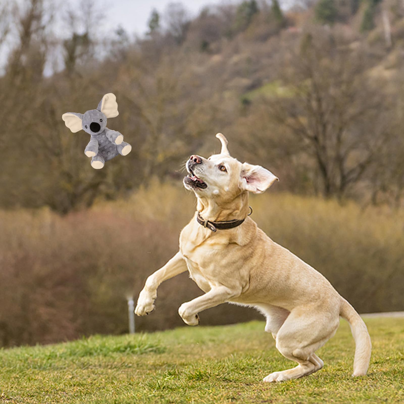 Blnboimrun Plush Koala Dog Toy with Squeaker & Crinkle Paper - Durable Chew Toy for Large & Medium Dogs - Perfect for Playtime, Training & Anxiety Relief
