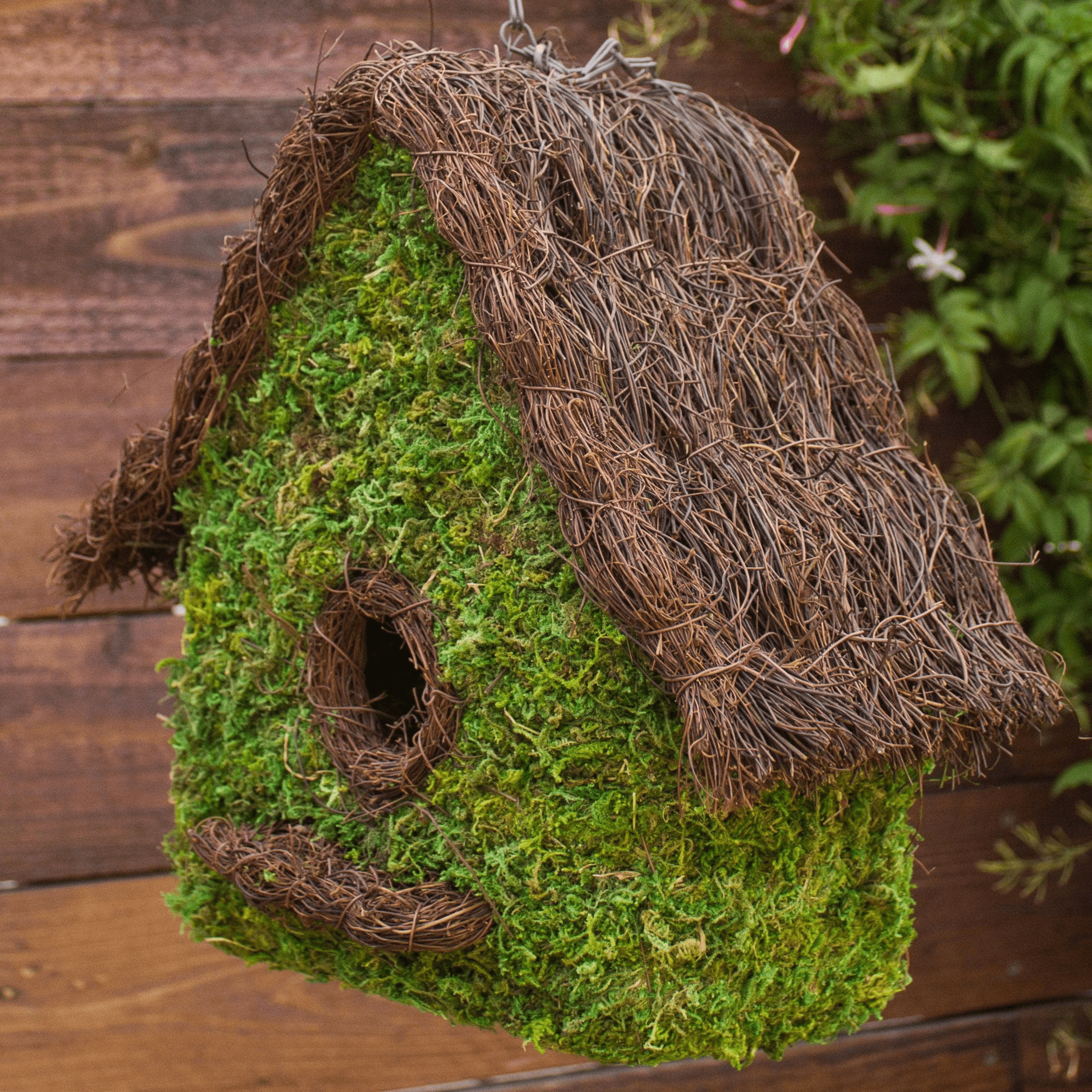Handwoven Moss Birdhouse - Natural Eco-Friendly Bird Nesting House for Garden, Patio, and Backyard Decor | Attracts Wild Birds for Birdwatching