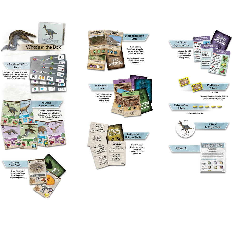 Brexwerx Games: Holotype Mesozoic Europe Expansion - Paleontology Strategy Board Game for Adults & Teens - Perfect for Family Game Nights & Educational Fun