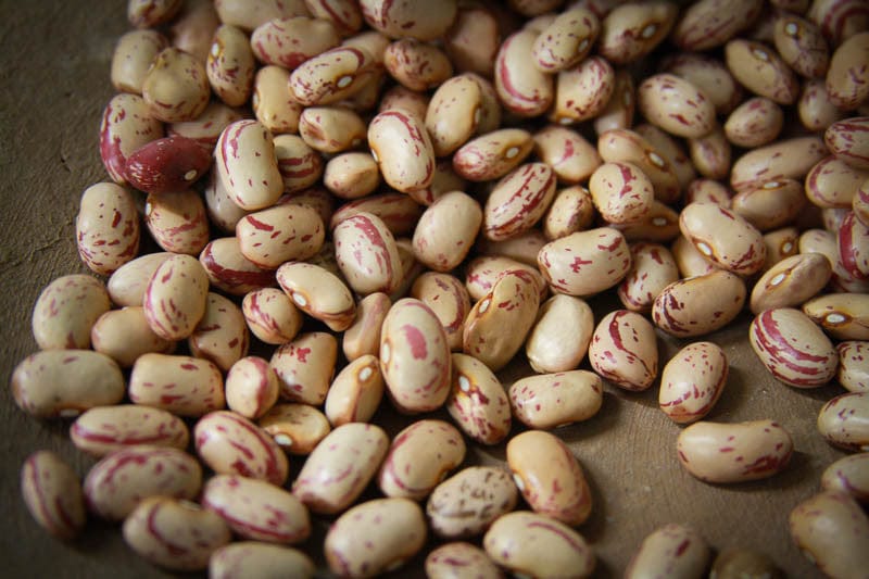Rancho Gordo Cranberry Beans 1 lb | Premium Dried Heirloom Beans for Cooking | Perfect for Soups, Stews, and Healthy Vegan Recipes