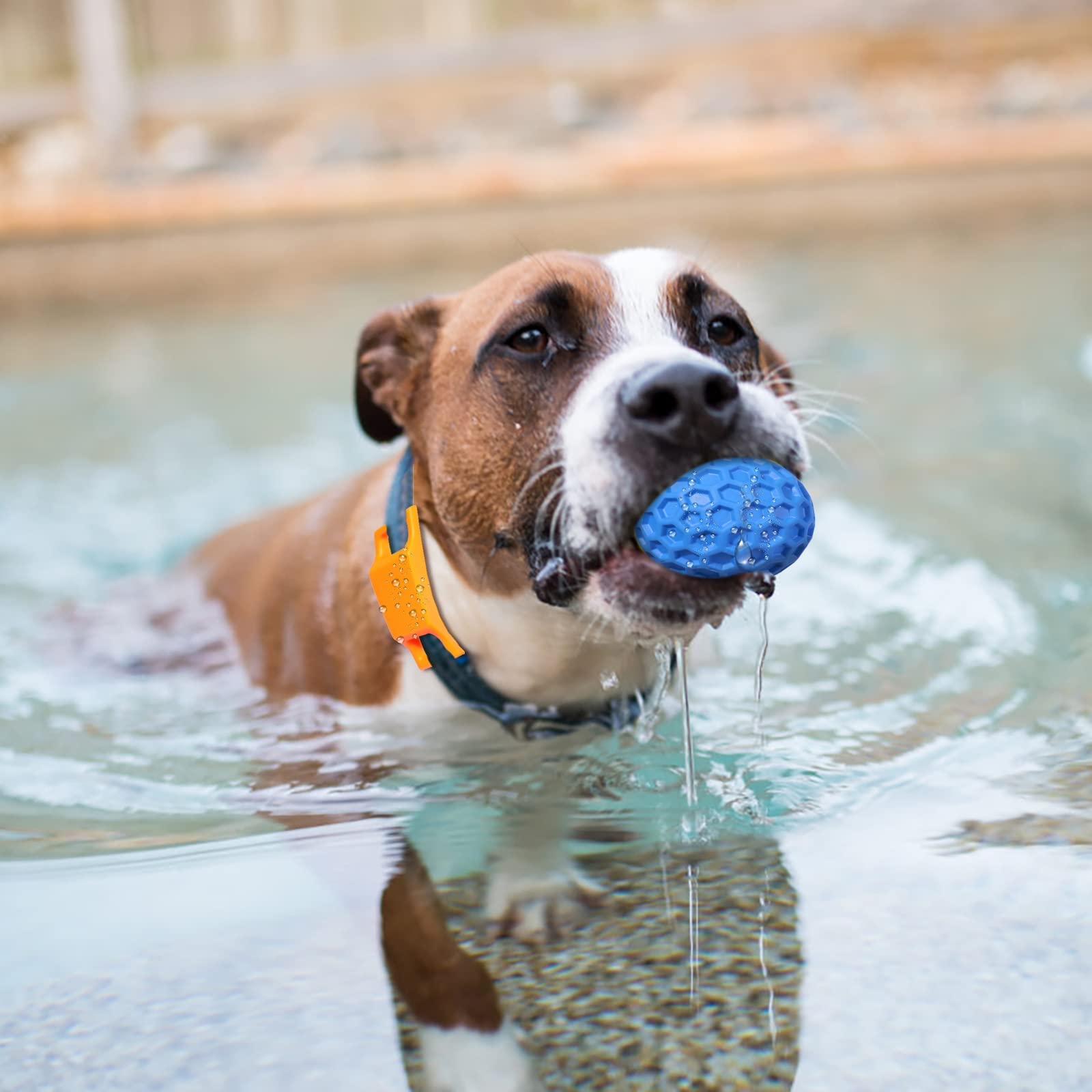 **Durable Natural Rubber Squeaky Dog Balls for Aggressive Chewers – 3.1-Inch Chew Toys for Large & Medium Dogs – Teeth Cleaning & Anxiety Relief – Interactive Play & Training (Blue)**    *(Perfect for Fetch, Training, and Keeping Your Dog Entertained Indoors & Outdoors)*