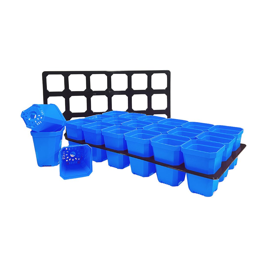 Bootstrap Farmer 3.3 Heavy Duty Seed Starting Pots with Tray Insert - Durable Plant Starter Kit for Indoor Gardening, Greenhouses & Home Seedlings
