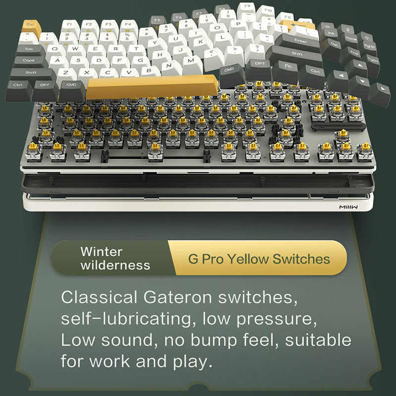 Xiaomi x MIIIW ART Series Z870 Wireless Mechanical Keyboard - 87 Keys, RGB Backlit, Bluetooth 5.0, Type-C, for Gaming, Office & Mac/Windows PC - Perfect for Typists, Programmers & Gamers