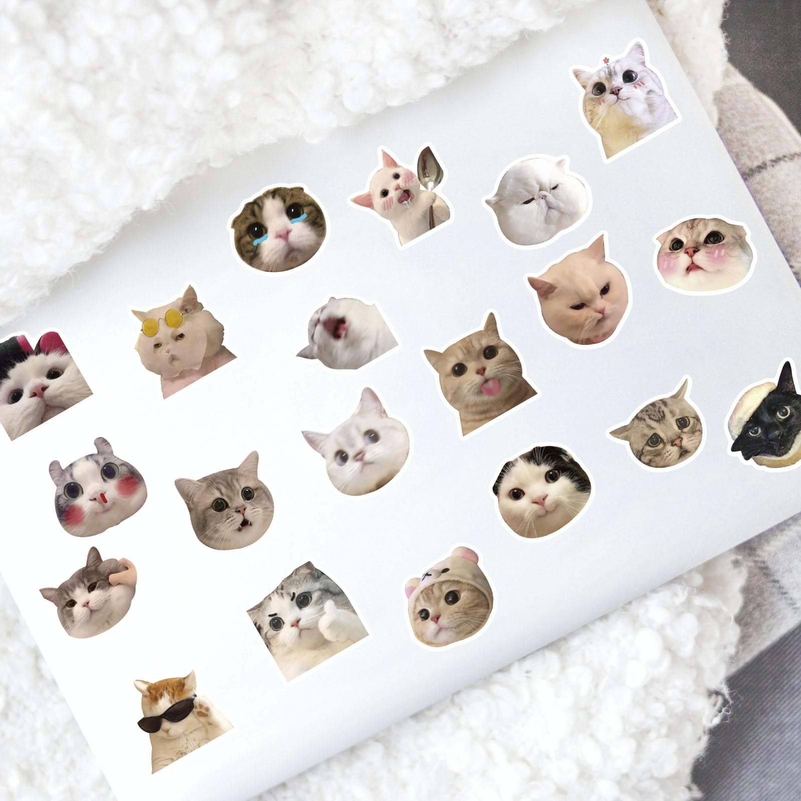 100 Pcs Funny Cat Stickers - Cute Cat Meme Vinyl Decals for Water Bottles, Laptops, Luggage, Skateboards & Bicycles | Waterproof Durable Stickers for Teens & Adults | Perfect for DIY Crafts, School Supplies & Gift Decorations