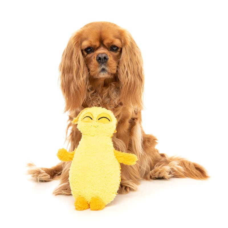 Fuzzyard Belly Bed Bug Yellow Plush Dog Toy - Soft Chew Toy for Small & Medium Dogs - Perfect for Playtime, Training & Cuddling