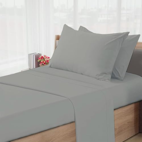 Light Grey Solid