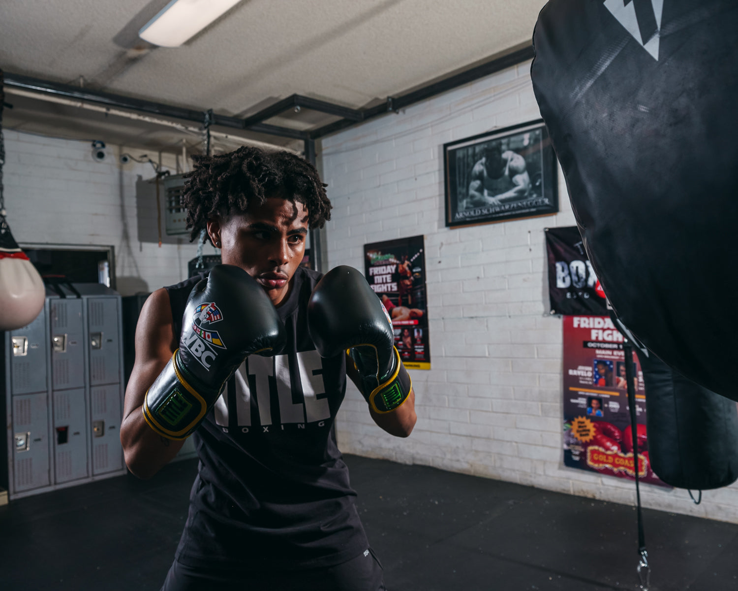 WBC by TITLE Boxing Gloves - Premium Training Gloves for Boxing, MMA & Fitness - Perfect for Punching Bags, Sparring & Home Workouts