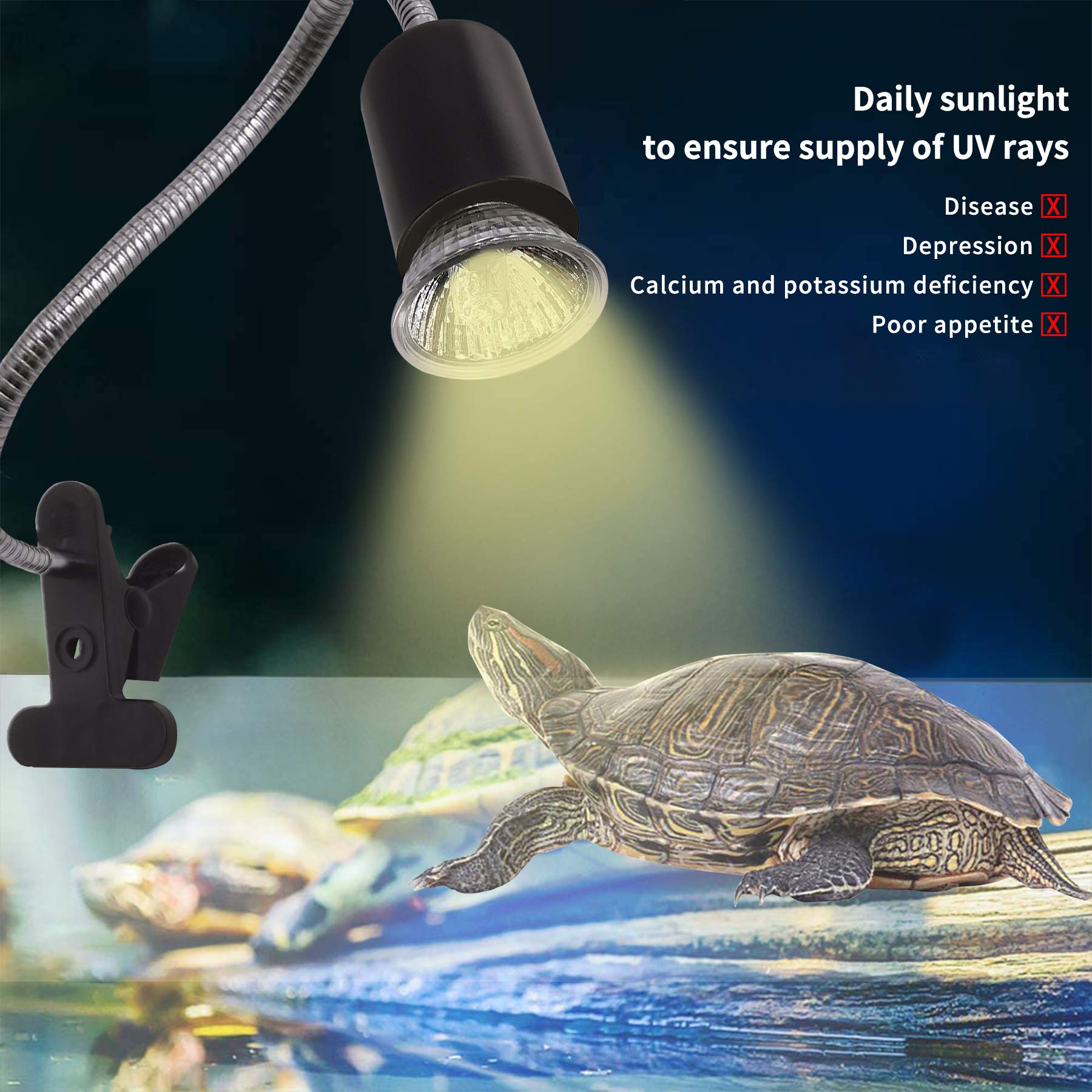 IOOTSEA 50W Reptile Heat Lamp with UVA UVB Bulbs - Adjustable Basking Light for Turtles, Lizards & Snakes - Perfect for Terrariums & Aquariums