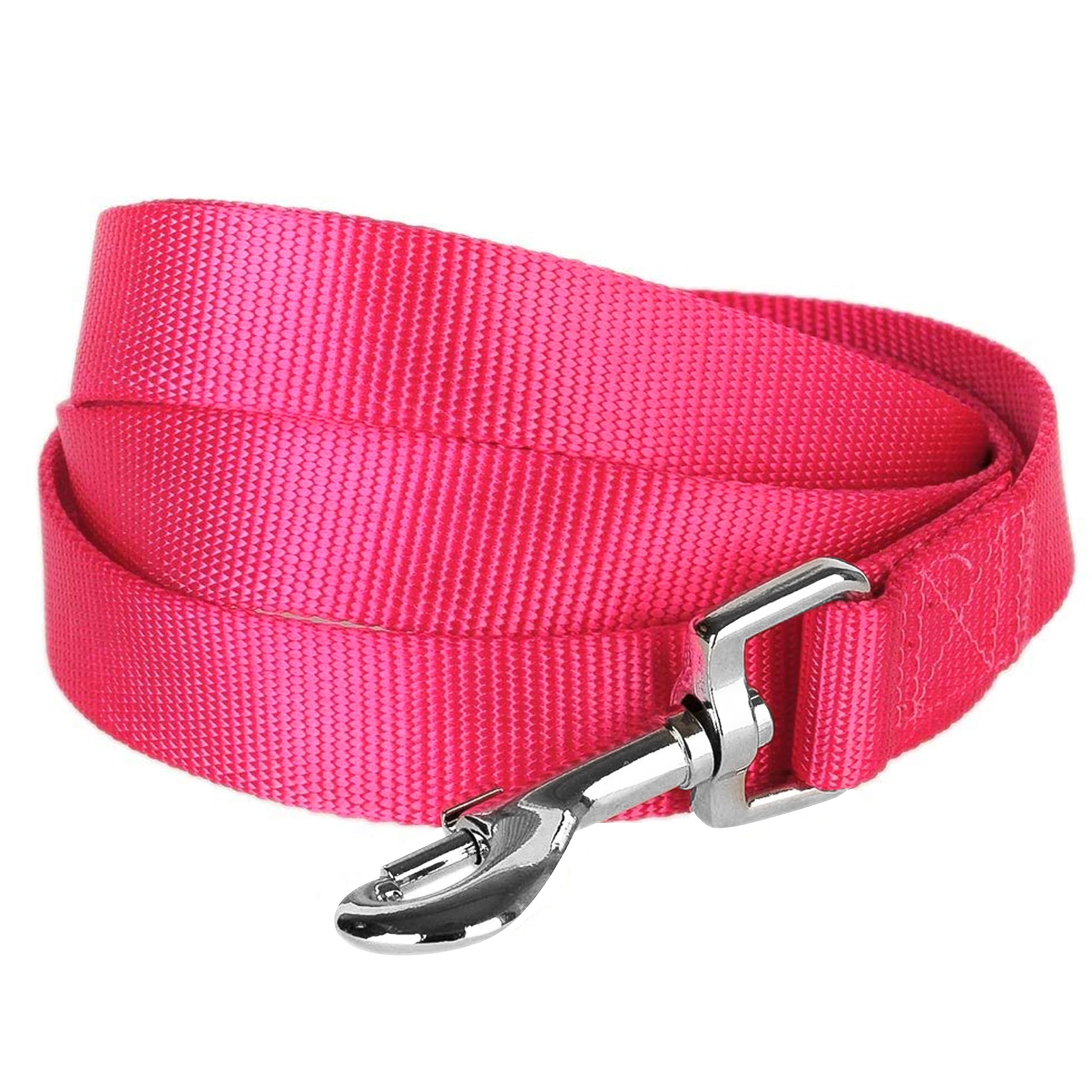 Blueberry Pet Essentials Durable Classic Dog Leash - 5ft Nylon Training Leash for Small Dogs | French Pink X-Small Dog Leash (3/8