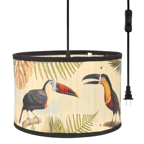 Toucan