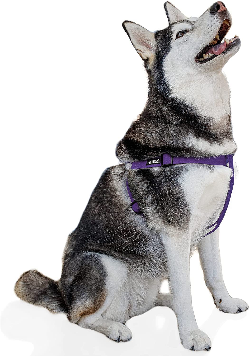 Pawsitive Hemp Dog Harness - Step-in Style, Soft & Hypoallergenic Pet Vest for Small, Medium & Large Dogs | Adjustable & Comfortable | Large Purple | Perfect for Walking, Training & Outdoor Adventures