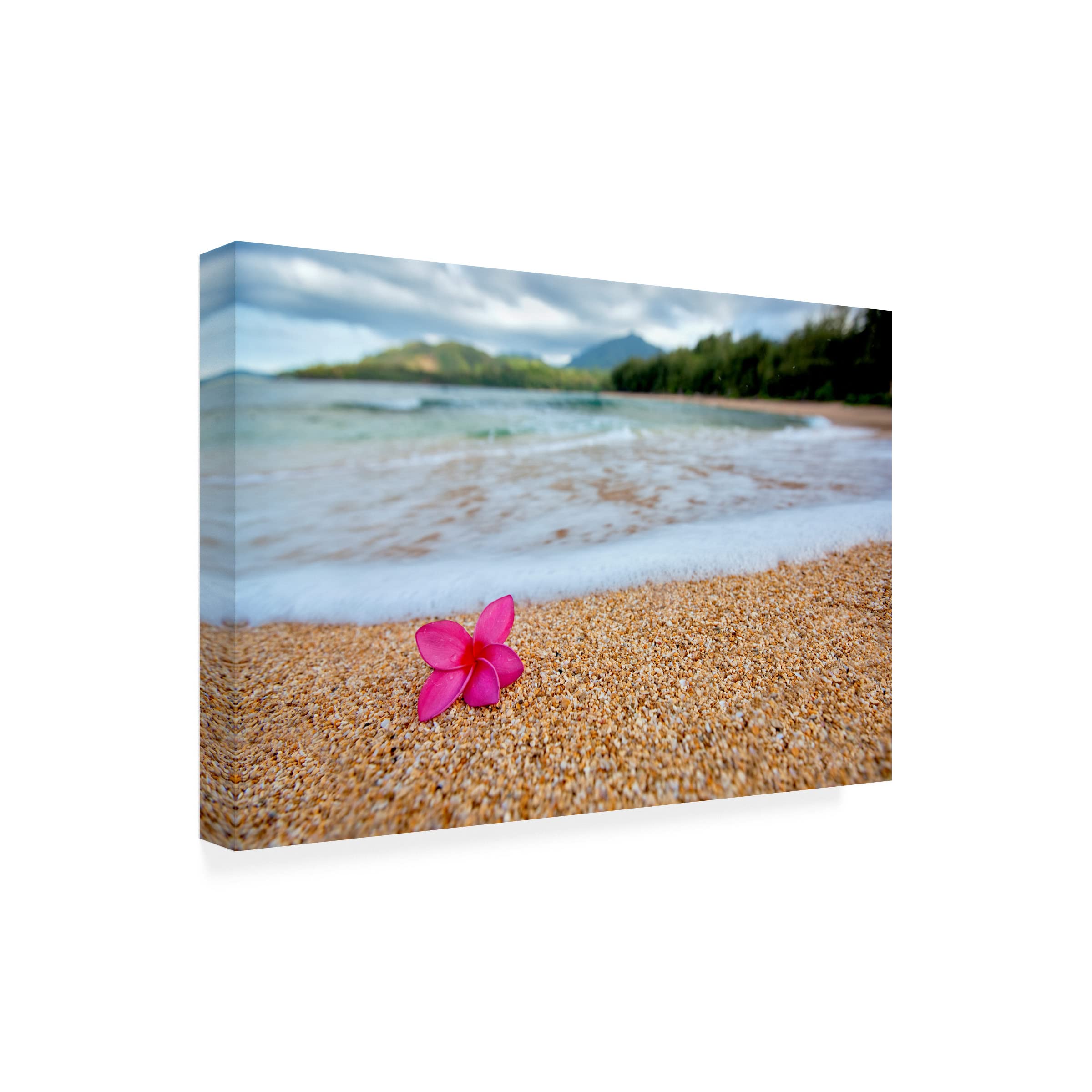 Dennis Frates 'Beach Treasures 4' Canvas Wall Art Print - Coastal Decor for Living Room, Bedroom & Office - Trademark Fine Art Collection