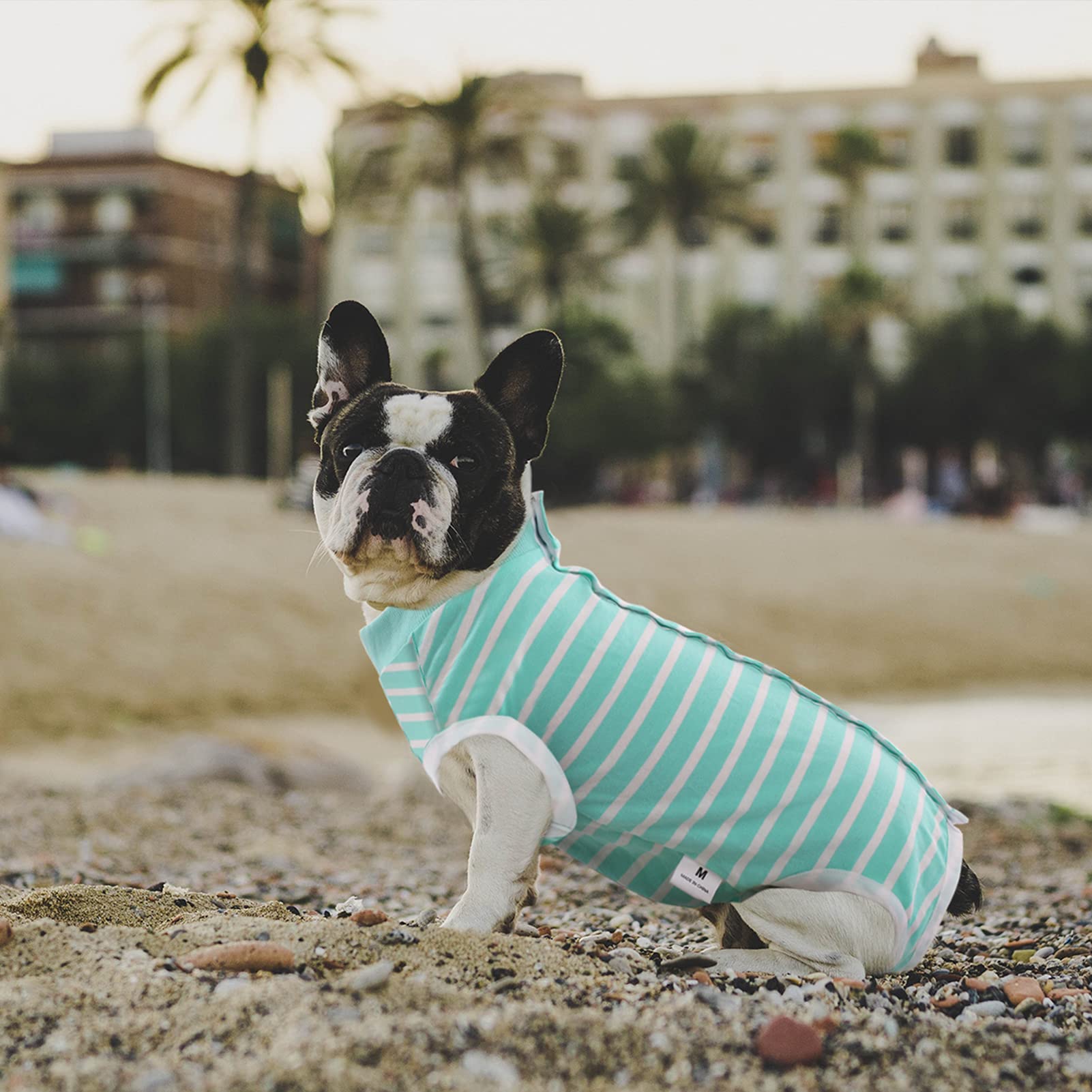 SAWMONG Dog Recovery Suit - Post-Surgery Protective Onesie for Small & Large Dogs, Soft & Breathable Pet Surgery Recovery Shirt (Green, Large) - Perfect for Spay/Neuter, Wound Care & Skin Protection