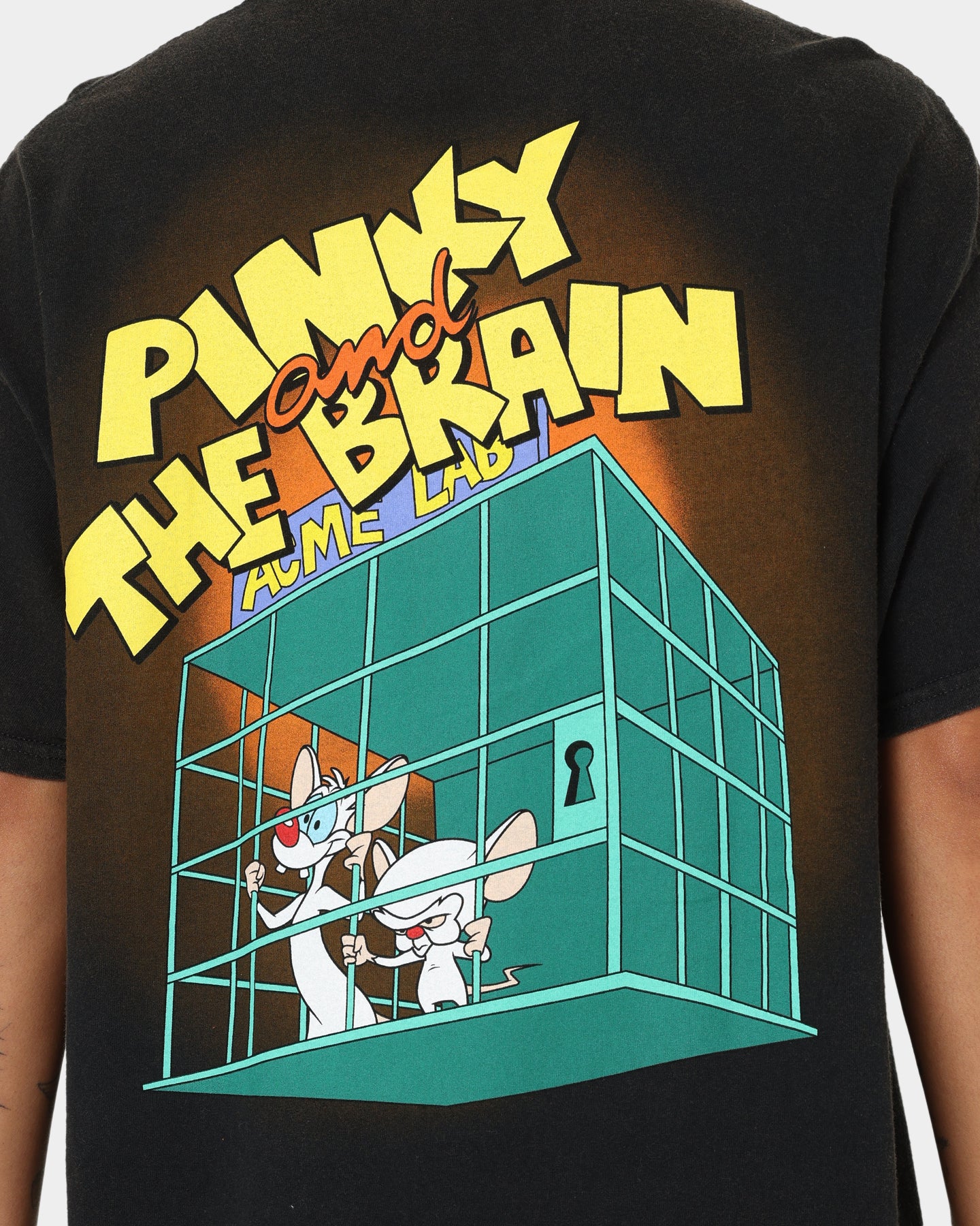 Vintage Pinky And The Brain Graphic T-Shirt - Black Wash Distressed Style - Retro Cartoon Tee for Men & Women - Perfect for Casual Wear, Cosplay, and 90s Nostalgia Fans