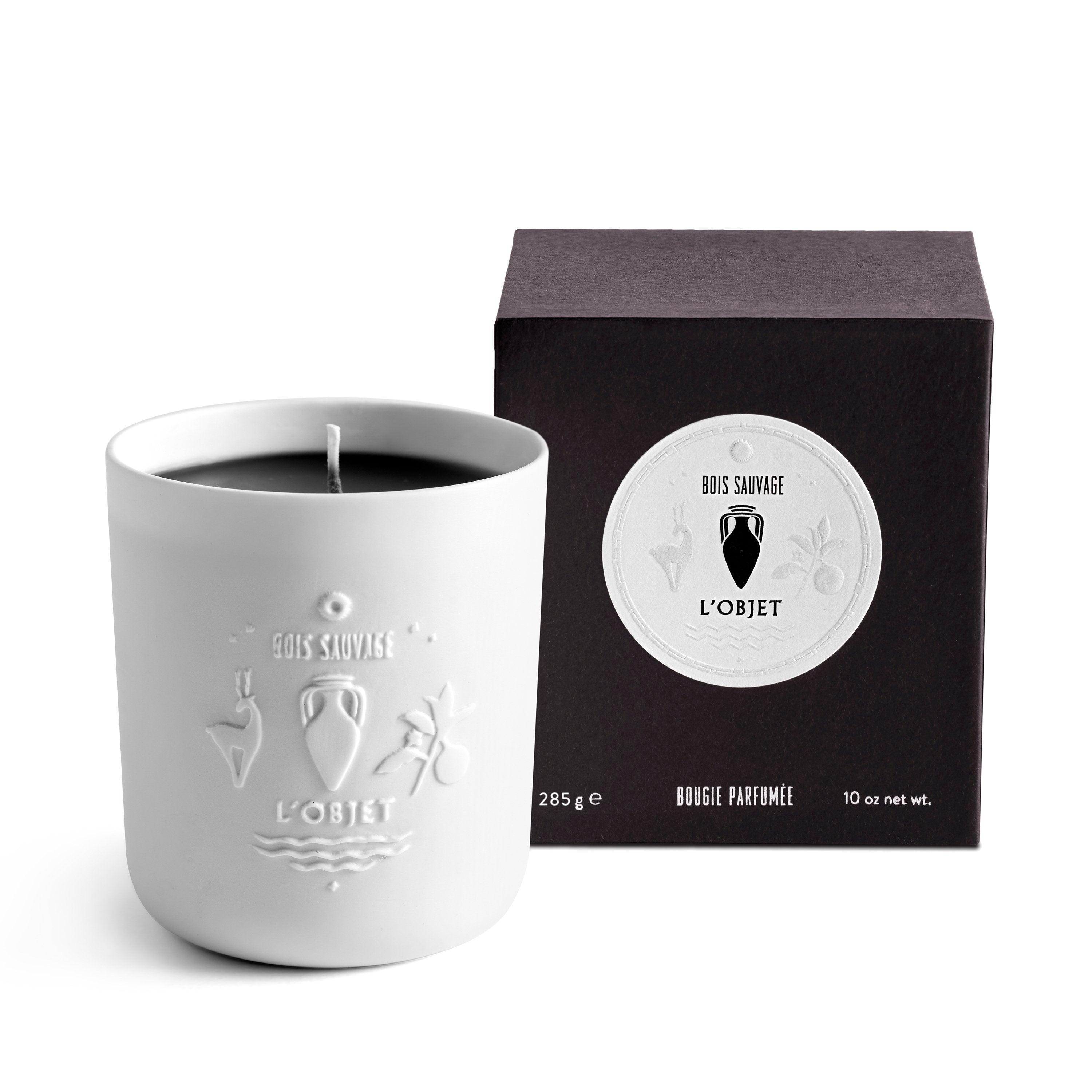 Bois Sauvage Luxury Scented Candle - Natural Soy Wax, Long-Lasting Fragrance for Home, Spa & Romantic Ambiance | Perfect for Relaxation, Meditation & Gift Giving