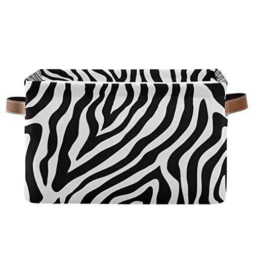 Zebra Print