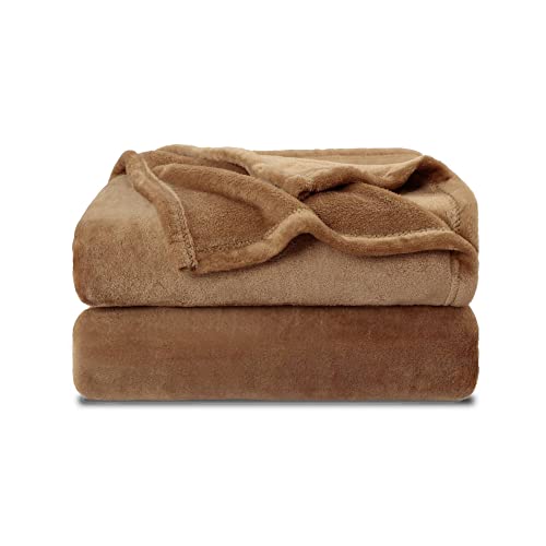 Coffee Brown