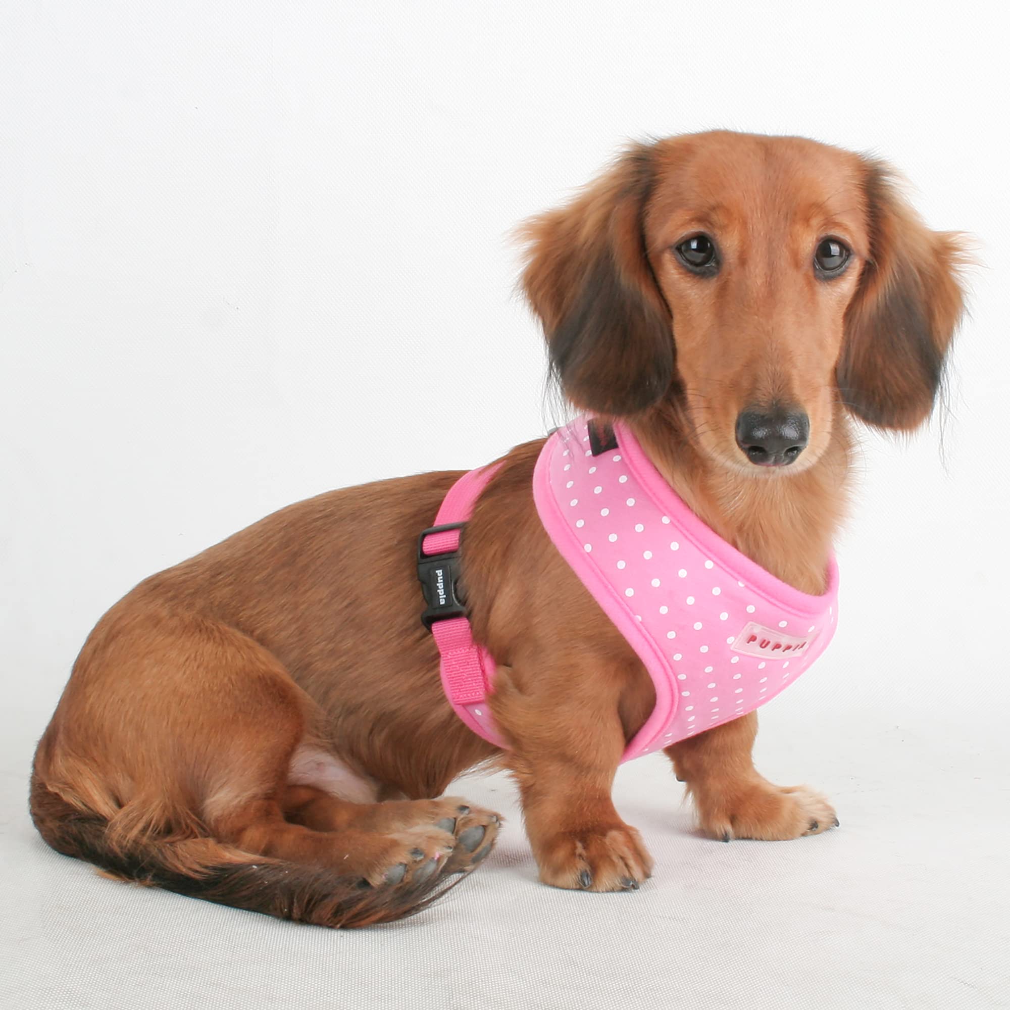 Puppia Dotty No-Pull Dog Harness for Small & Medium Dogs - Pink | Walking & Training