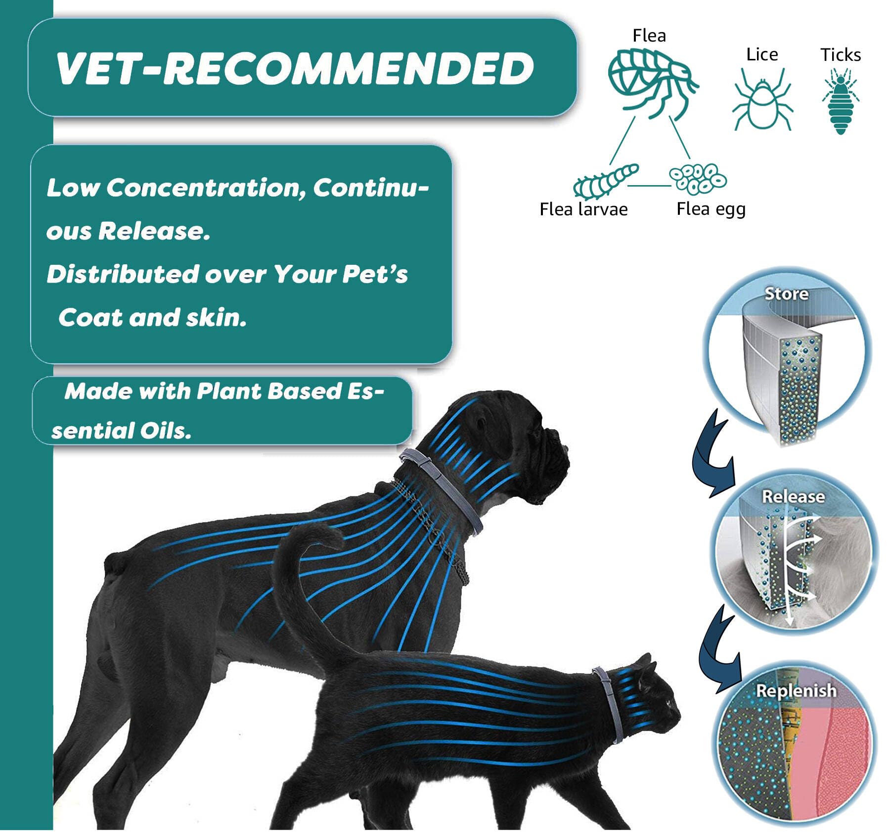 **Natural Flea and Tick Collar for Cats - 12-Month Protection, Waterproof & Safe for Kittens, Made with Premium Plant Oils (Includes Free Comb & Tweezers) - 2 Pack, 13.8 in - Perfect for Indoor & Outdoor Cats**