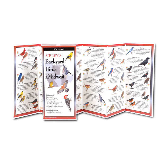 Sibley's Backyard Birds of the Midwest Folding Guide - Bird Watching Field Guide for Midwest USA - Perfect for Birders, Hikers & Nature Lovers