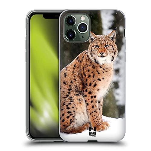 Wild Lynx In Winter