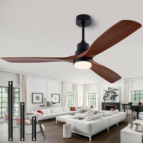 Black+Dark Walnut/B