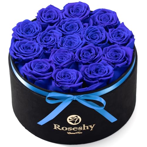 Round Blue