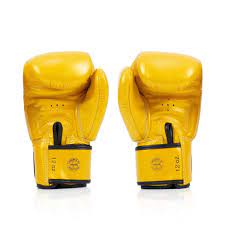 Fairtex BGV19 Deluxe Tight Fit Boxing Gloves for Training, Sparring & Muay Thai - Premium Leather MMA Gloves for Men & Women