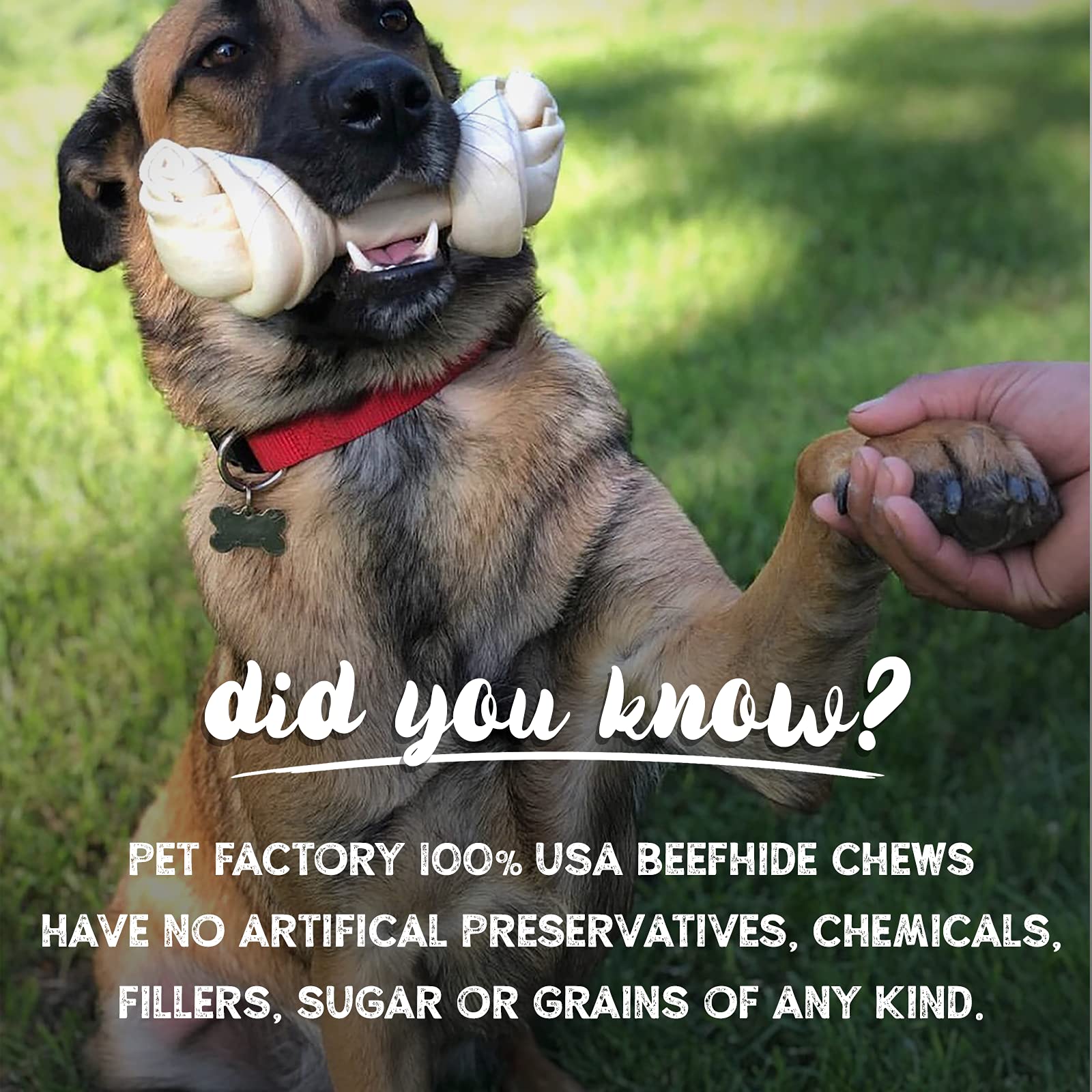Premium 100% Made in USA Beefhide Chips Dog Chews - Natural Beef & Chicken Flavored Dental Treats for Medium & Large Dogs, 8oz Bag | Healthy Snack for Teeth Cleaning & Anxiety Relief During Training, Travel or Crate Time