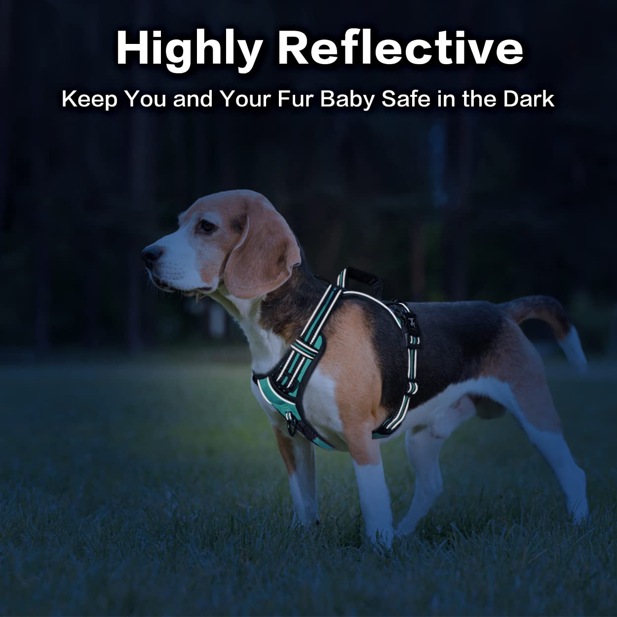 PoyPet No Pull Dog Harness - Front Clip Reflective Vest with Soft Padded Handle & 3 Leash Attachments for Small Medium Large Dogs (Mint Blue, Medium) - Perfect for Walking, Training & Nighttime Safety