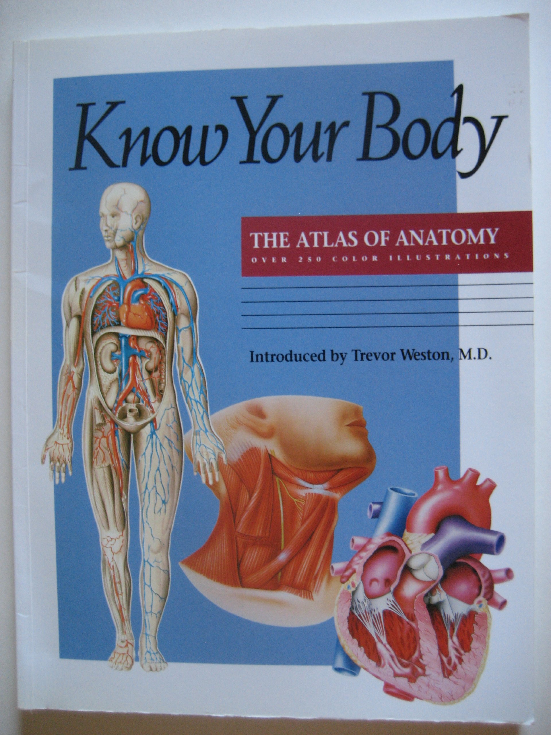 Know Your Body: The Atlas of Anatomy - Human Body Reference Book for Medical Students & Artists | Perfect for Anatomy Study, Healthcare Education & Art Reference