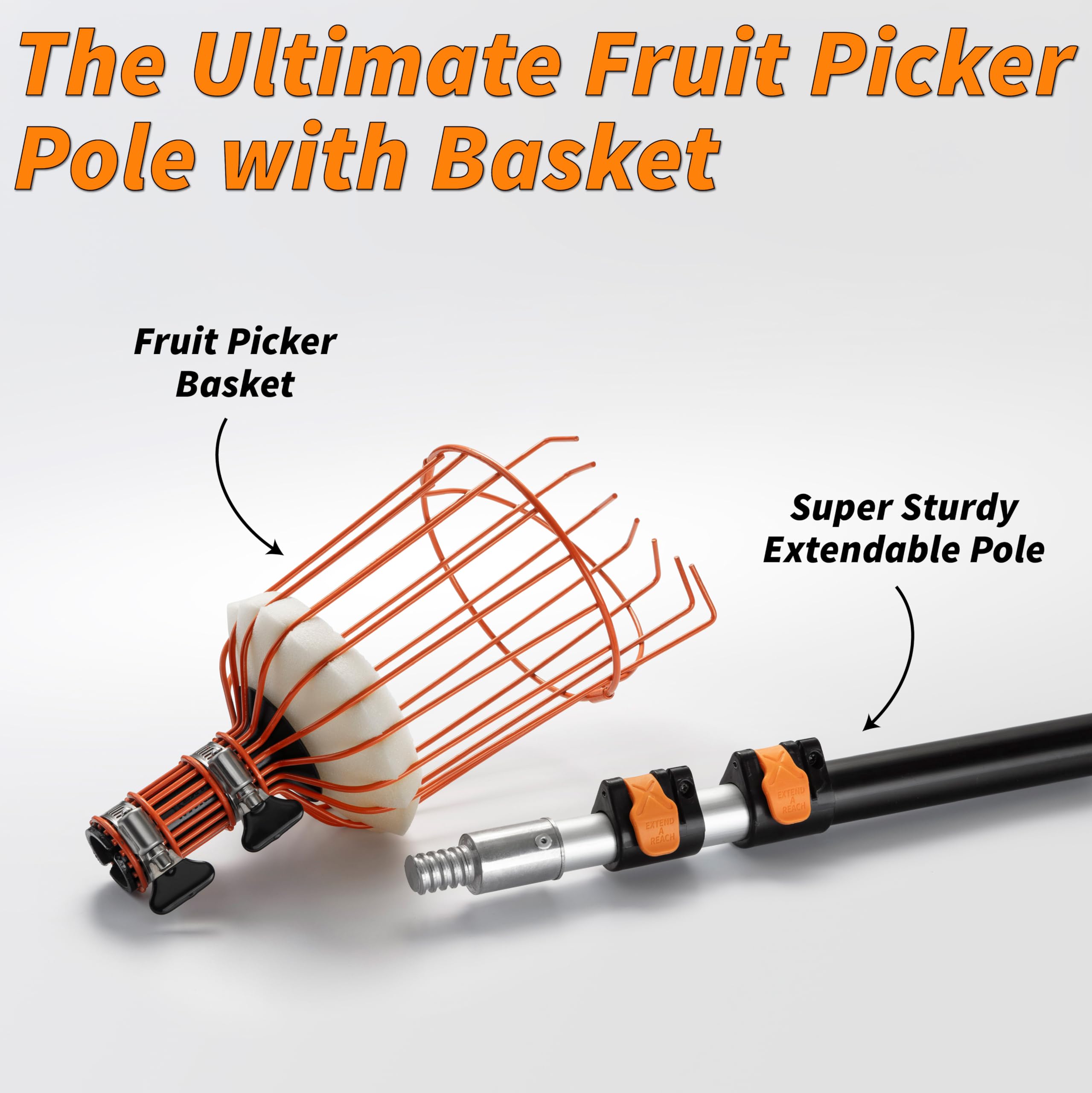 Telescopic Fruit Picker Pole with Basket - Extends 7 to 30 ft for High-Reach Harvesting | Apple, Orange, Mango, Avocado, Lemon & Pear Picking Tool | Perfect for Home Orchards, Backyard Gardening & Commercial Use