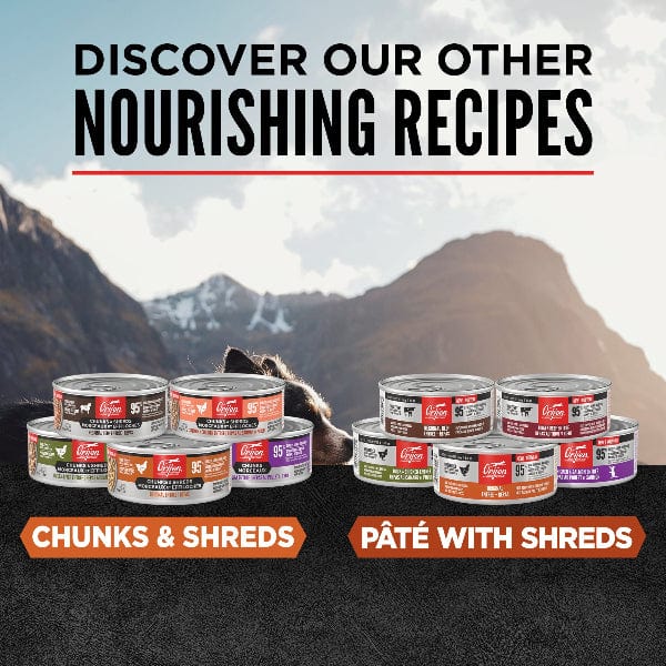 Orijen Original Chunks & Shreds Entrée Canned Cat Food - Grain-Free, High-Protein Wet Cat Food for Adult Cats, 5.5oz Can - Perfect for Mealtime, Travel & Treats