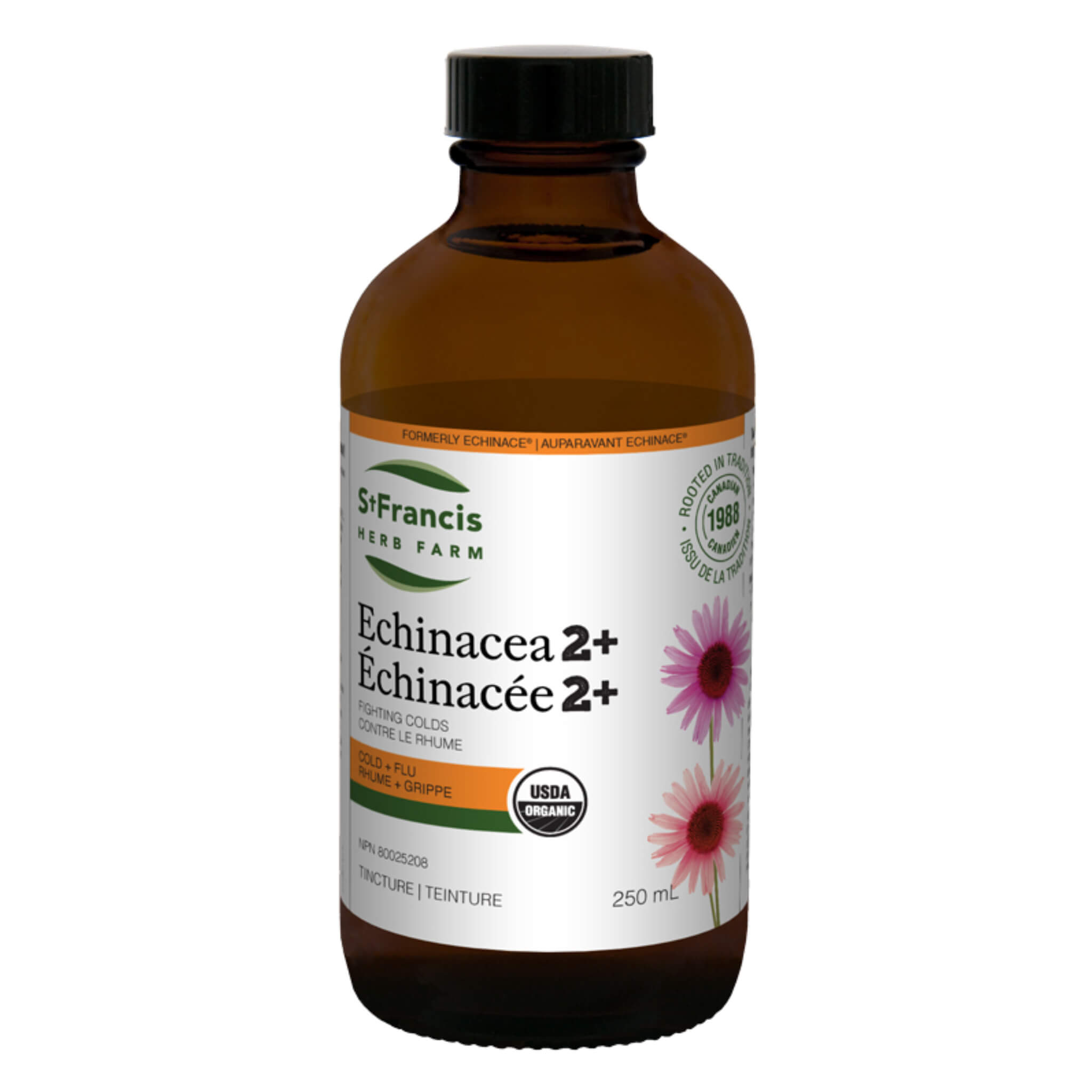 Echinacea Cold & Flu Relief Drops 50ml - Natural Immune Support for Adults & Kids - Fast-Acting Herbal Remedy for Cough, Sore Throat & Seasonal Wellness