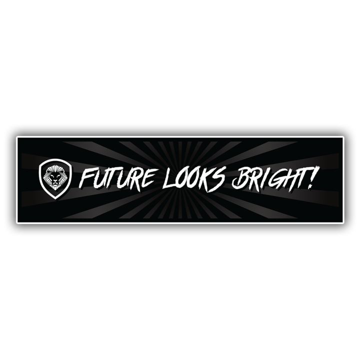 Future Looks Bright Bumper Sticker 12x3 - Motivational Car Decal for Cars, Trucks & Laptops - Perfect for Graduation Gifts & Positive Vibes