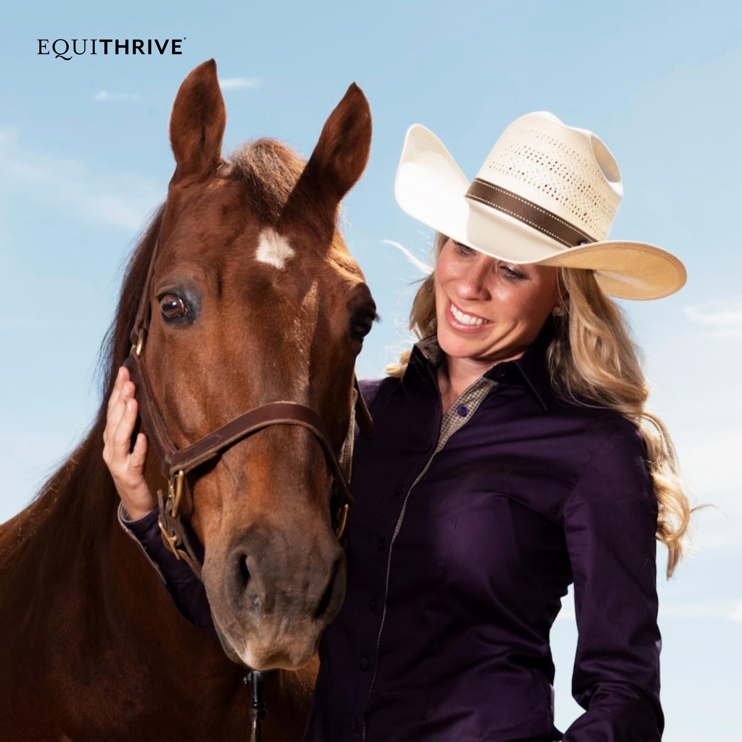 Equithrive Original Joint Supplement for Horses - Resveratrol & Hyaluronic Acid Pellets - Supports Joint Health for Performance, Training & Senior Horses - 3.3 lb Bag - Ideal for Competition Prep & Daily Equine Care