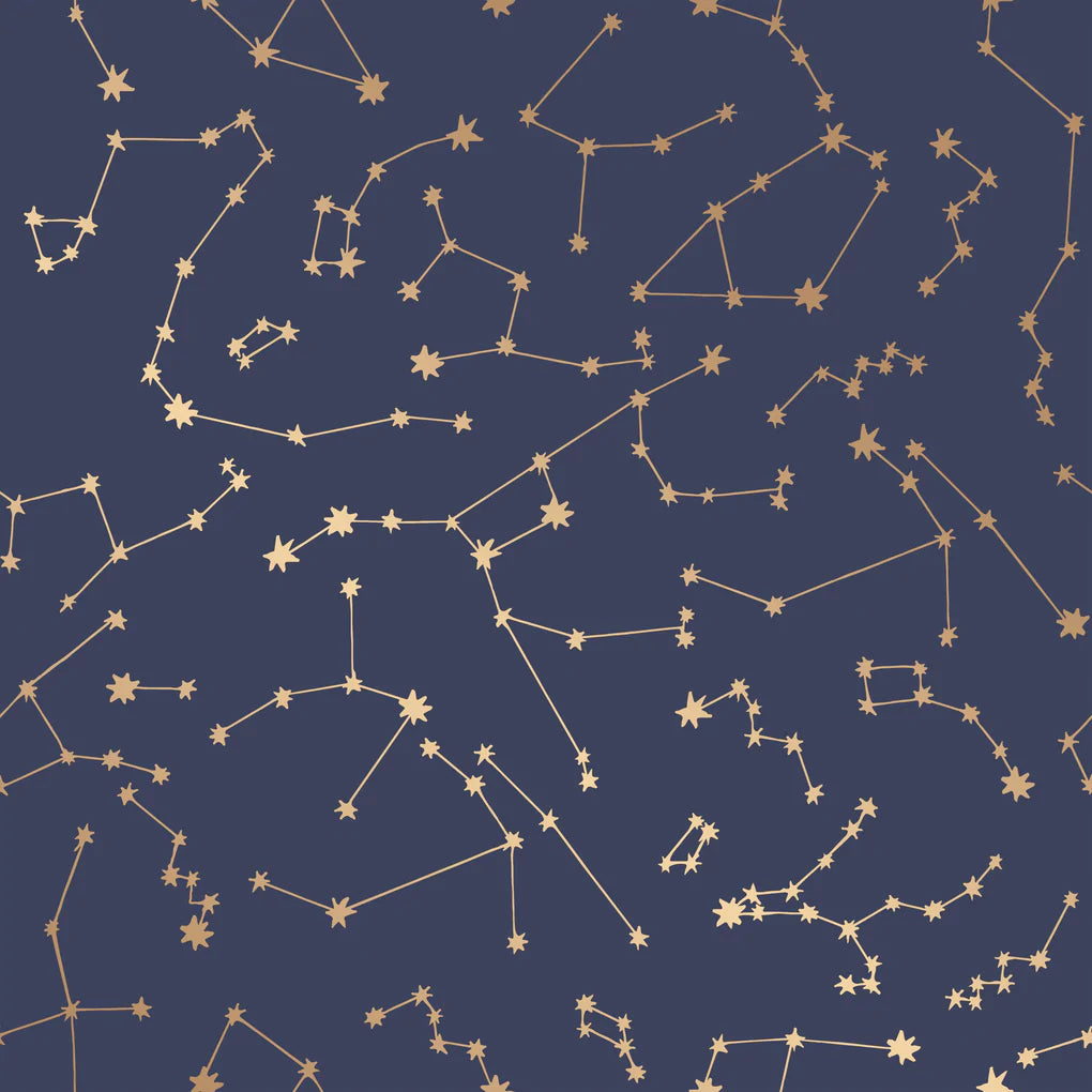 Navy Skies