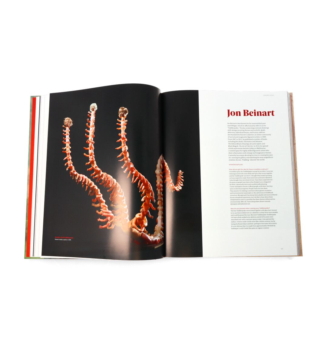 Anatomy Rocks - Fun & Educational Human Body Learning Kit for Kids | Perfect for Science Classrooms & Homeschooling