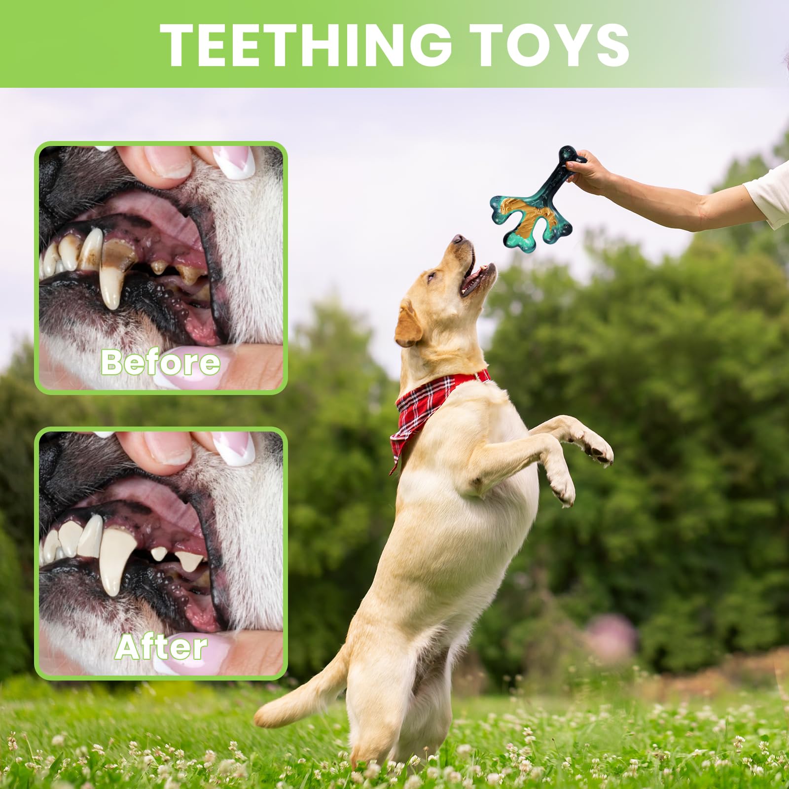 Indestructible Tough Dog Toys for Aggressive Chewers - Durable Chew Toys for Large Dogs - Heavy Duty Dog Chew Toys to Keep Pets Busy - Perfect Gift for Aggressive Chewers - Great for Outdoor Play and Travel