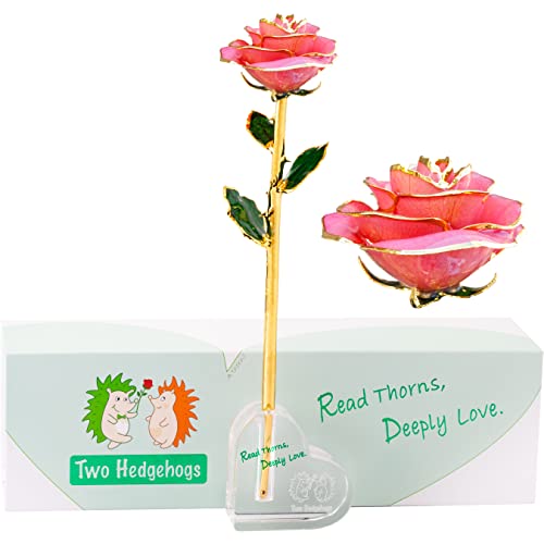 Clear Pink Open Rose