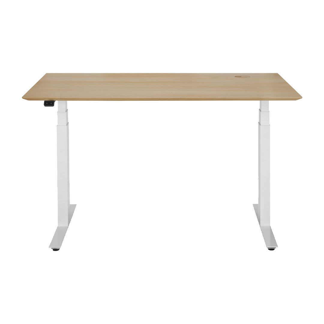 Adjustable Standing Desk - Ergonomic Height Adjustable Computer Desk for Home & Office - Perfect for Work from Home, Gaming & Study