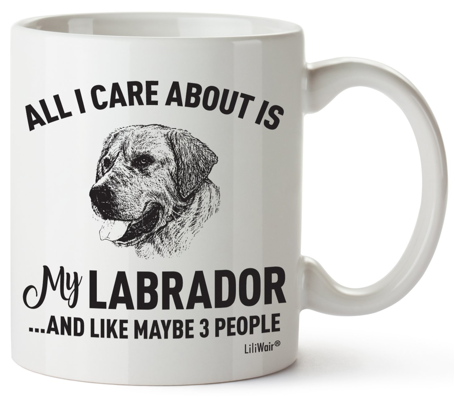 Funny Labrador Dog Lover Coffee Mug - Gift for Dog Moms, Dads & Pet Owners - Christmas, Birthday & Everyday Use - Perfect for Home, Office & Dog-Themed Decor