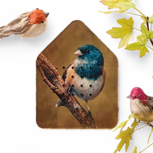 Birdsong Sound Box - Soothing Nature Sounds for Relaxation, Meditation & Sleep - Perfect for Home, Office & Yoga Studio