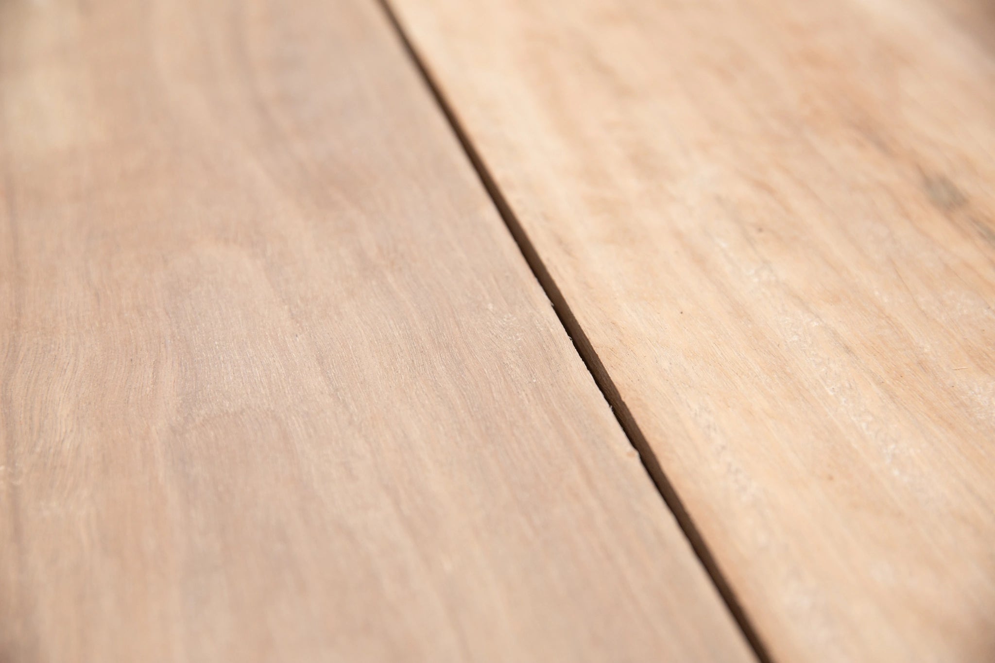 Premium Queensland Spotted Gum Timber 200x25mm - Select Grade Kiln Dried Rough Sawn for Joinery & Woodworking | Perfect for Flooring, Decking, and Furniture Projects
