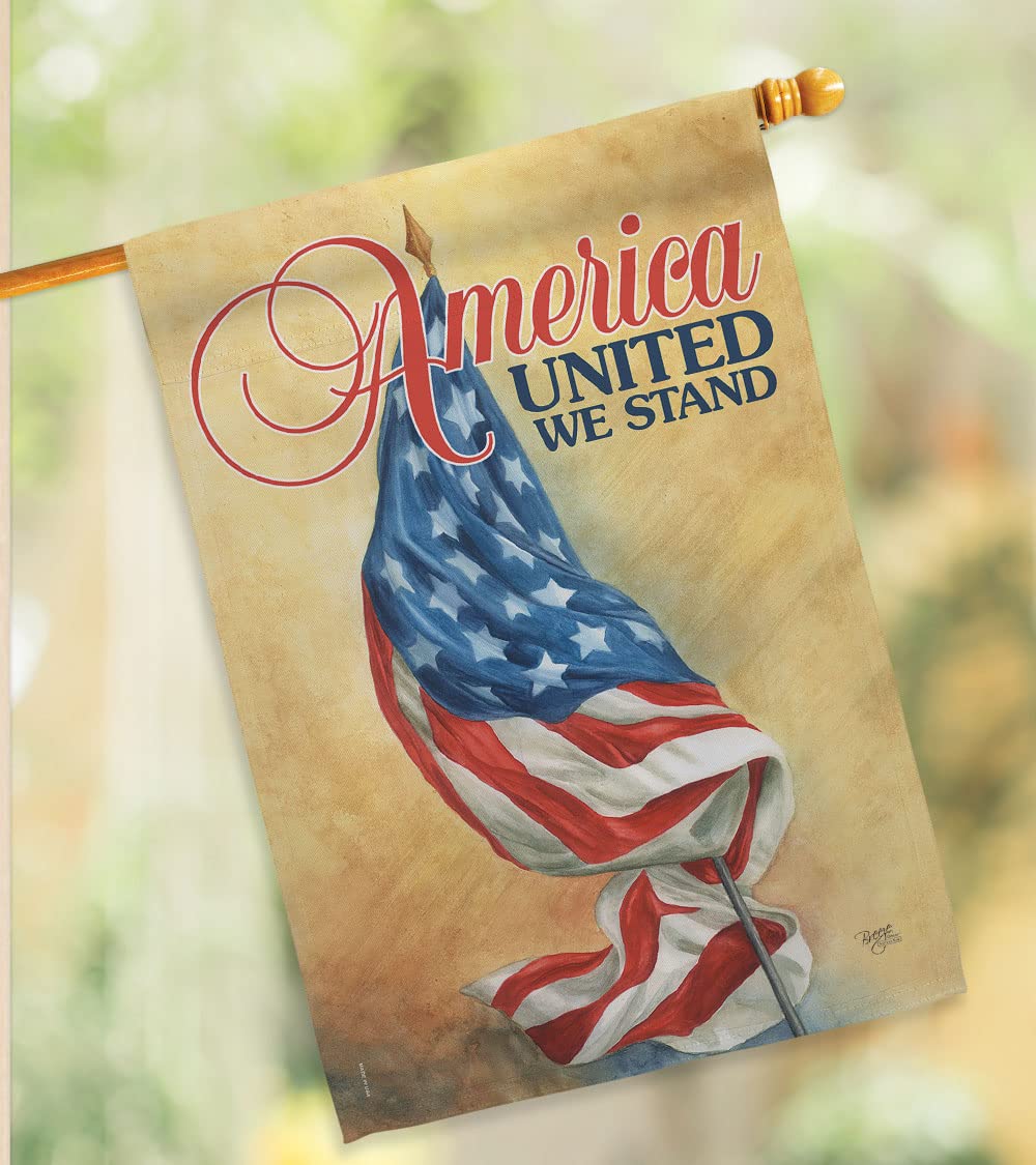 Patriotic Americana House Flag Set 28x40 with Pole - Outdoor Decor