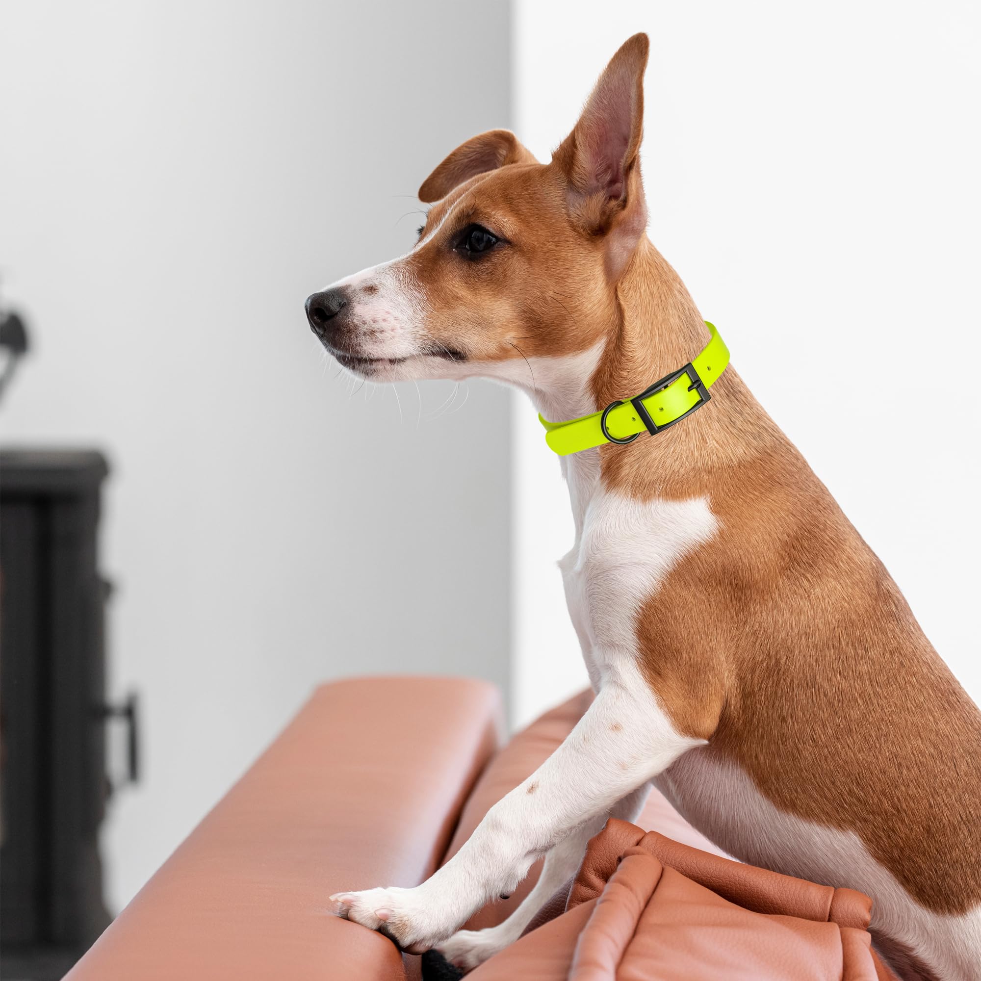 Waterproof Biothane Dog Collar - Durable Coated Nylon Webbing with Black Hardware | Odor-Proof, Easy to Clean | Fits Small, Medium & Large Dogs | Safety Yellow | Perfect for Outdoor Adventures, Swimming & Daily Walks