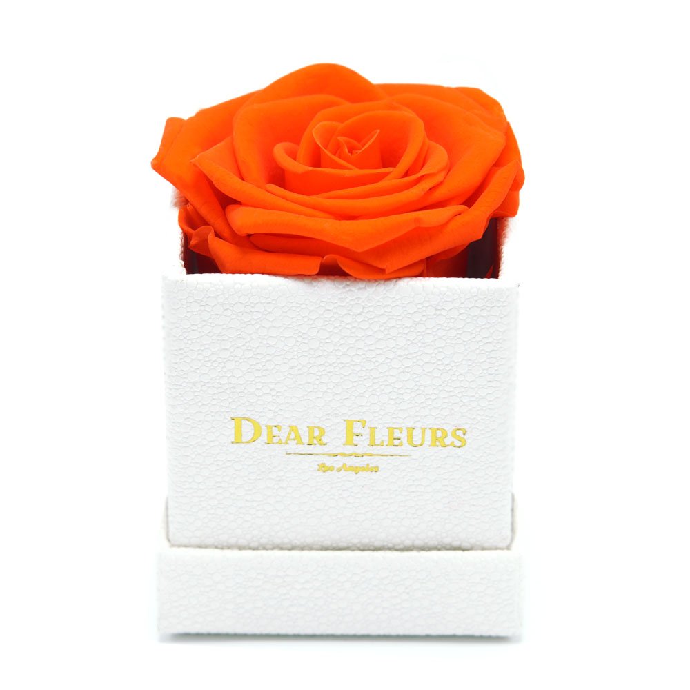 Petit Rose | Real Preserved Roses That Last 1 Year | Luxury Gift Box (Orange & White Leather) - Perfect for Anniversaries, Valentine's Day & Home Decor