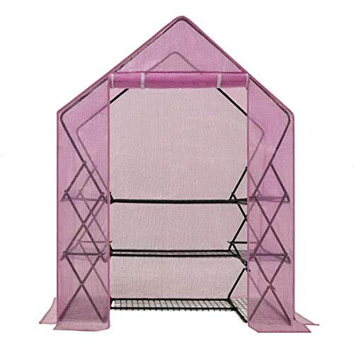 Lilac Cover