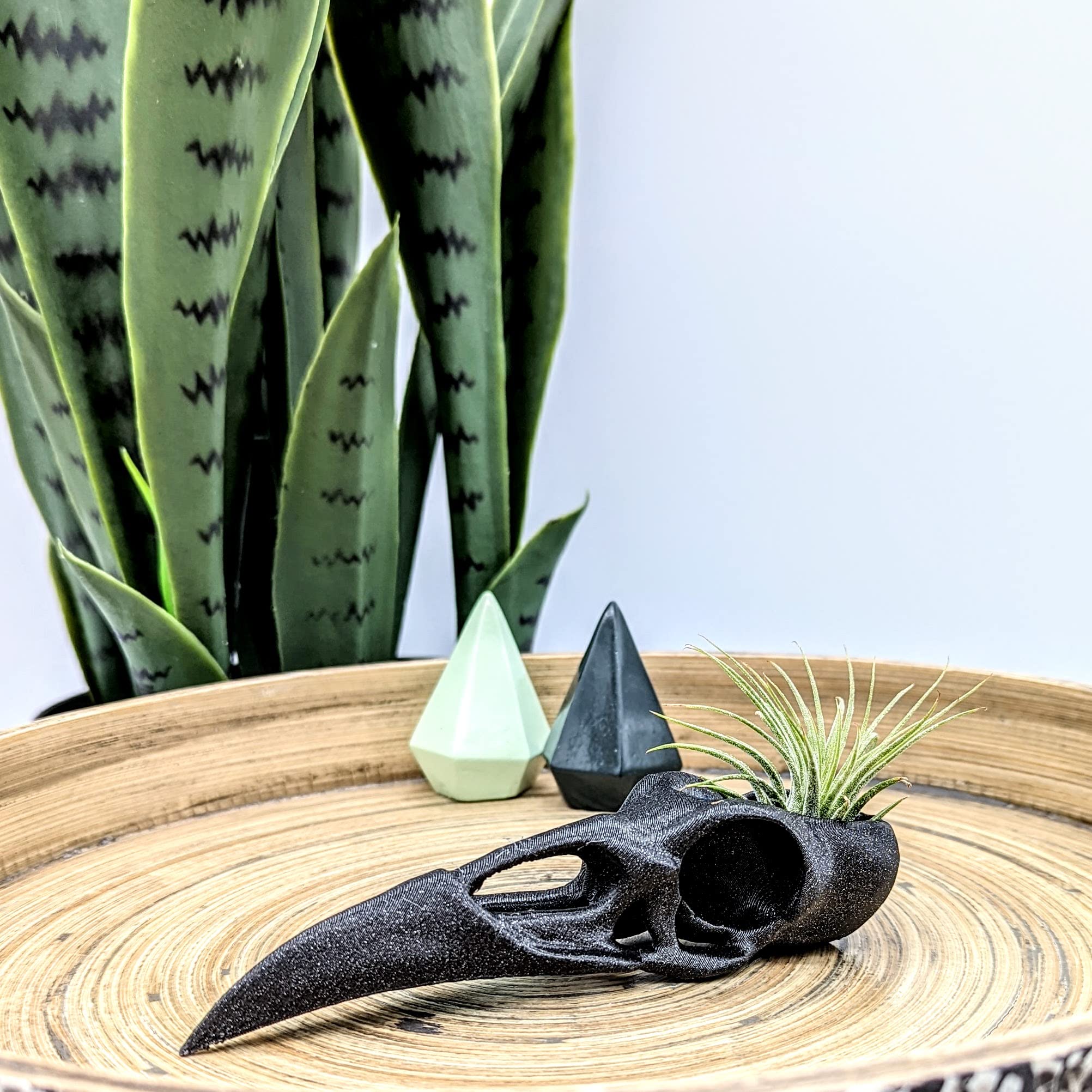 Gothic Raven Skull Air Plant Holder - Handmade Bird Skull Planter for Home Decor - Unique Crow Art Sculpture & Halloween Spooky Plant Pot - Perfect for Gothic Decor, Witchy Aesthetics & Indoor Succulent Displays